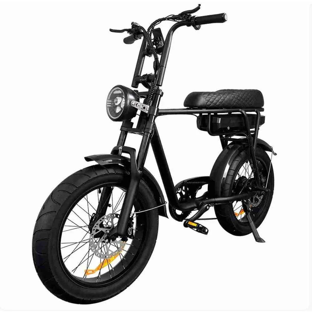 EB2 Fatbike Schwarz + Alarmsystem + Kostenlose Montage
