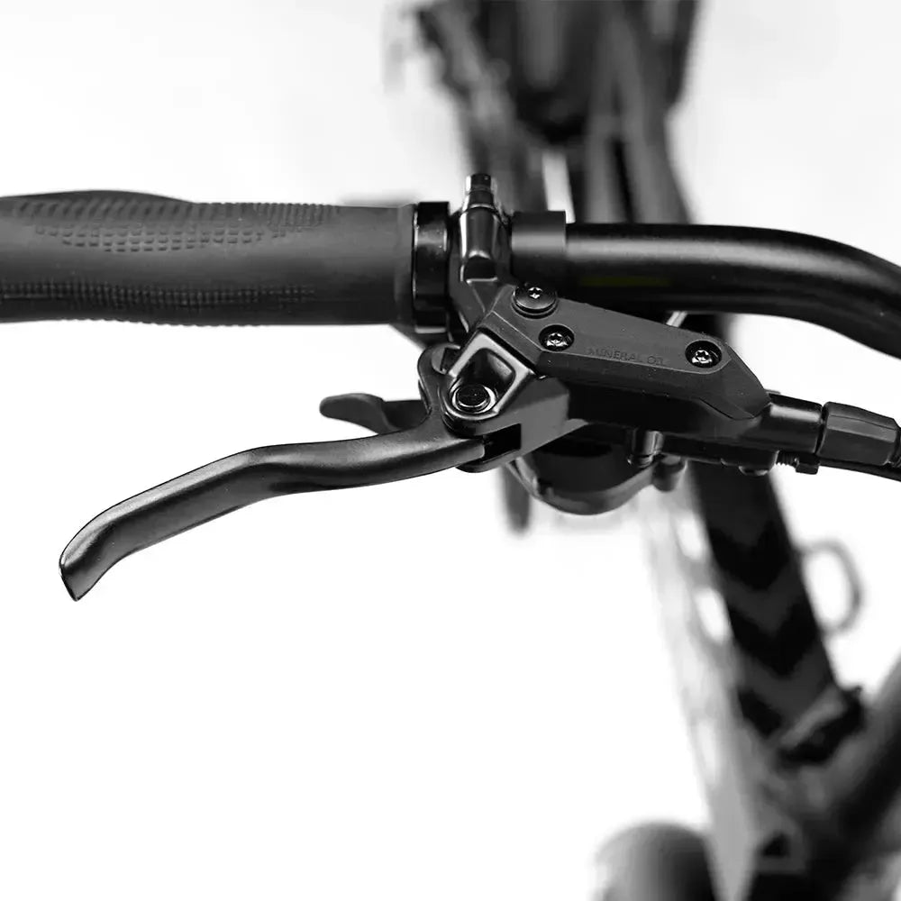 ENGWE Engine Pro 2.0 - Noir