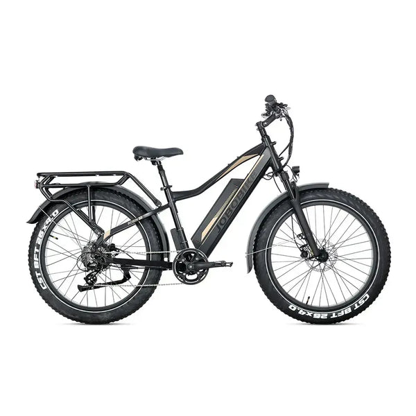 JOBOBIKE Robin Pro - Schwarz-Gold