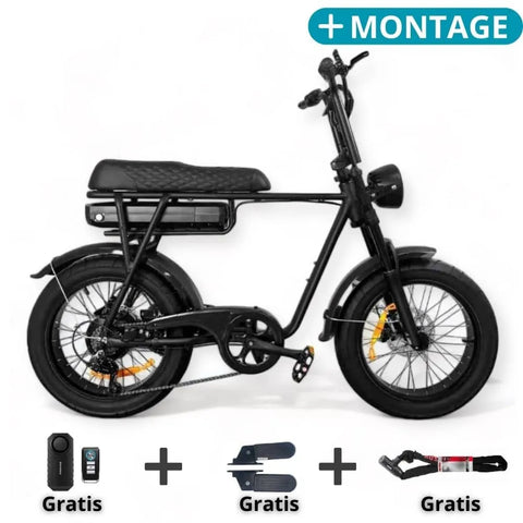 EB2 Fatbike Schwarz + Alarmsystem + Kostenlose Montage