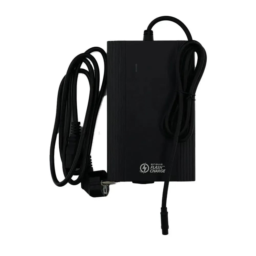 ENGWE LE20 - Chargeur rapide 8A