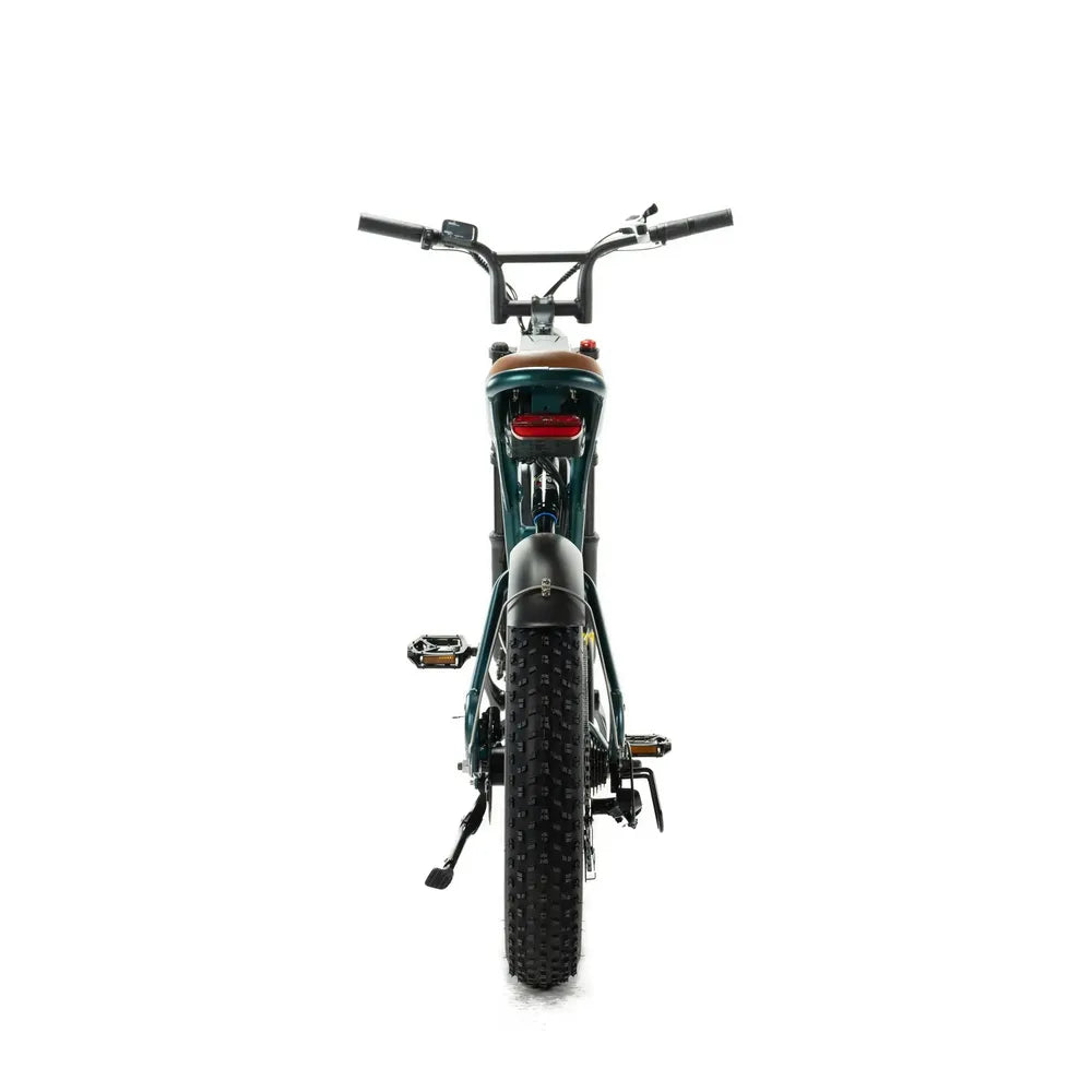 ENGWE M20 - Double batterie - Vert
