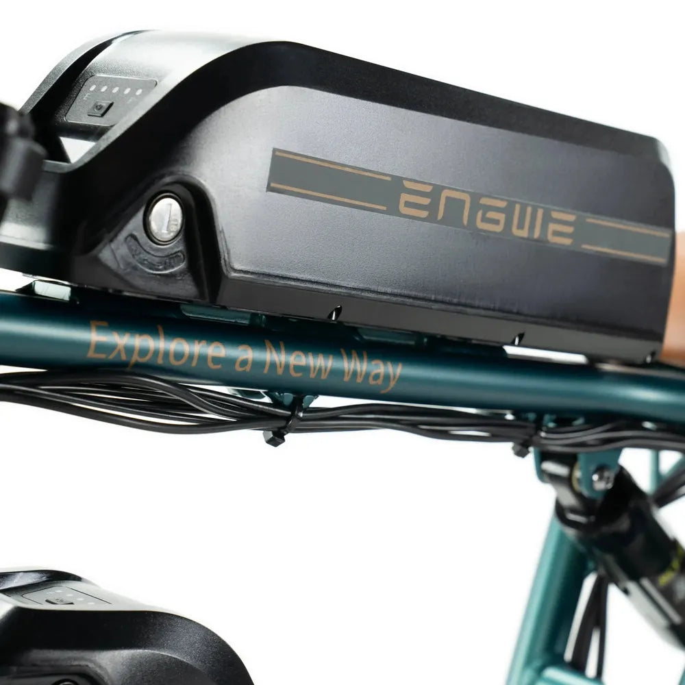 ENGWE M20 - Double batterie - Vert