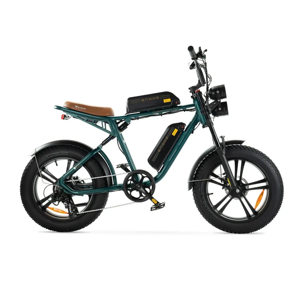 ENGWE M20 - Double batterie - Vert