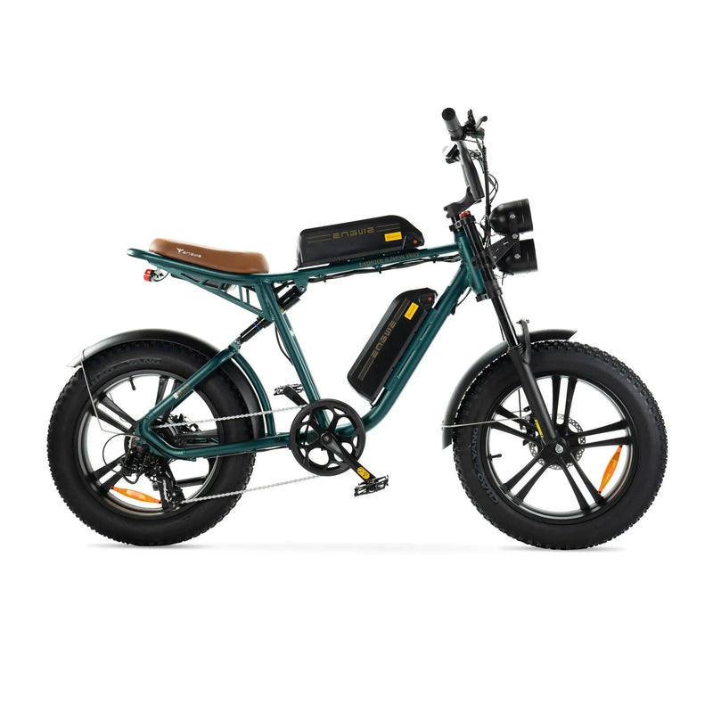 ENGWE M20 - Double batterie - Vert