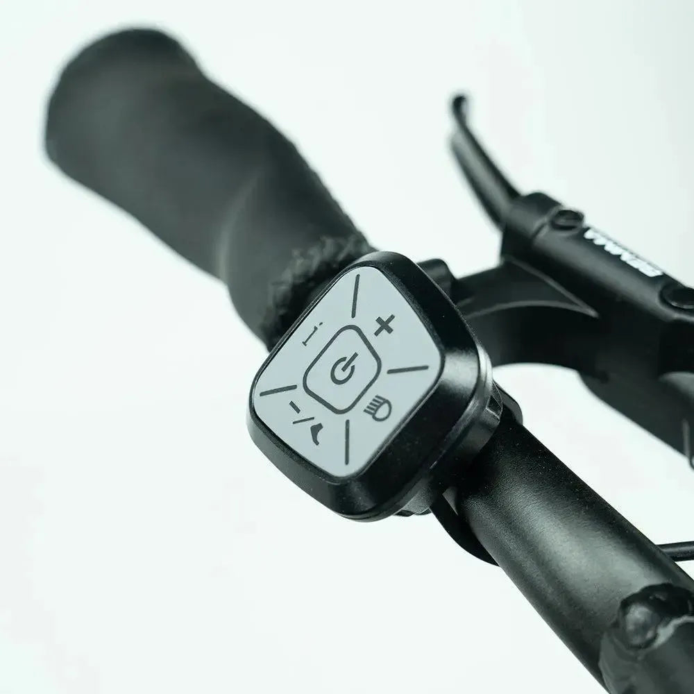 JOBOBIKE Transer - Longtail - Verde