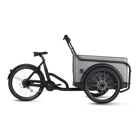 Royal Cargo Bike 3W Eco - Cinzento