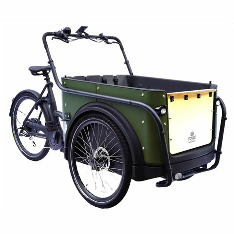 Royal Cargo Bike 3W Eco - Verde
