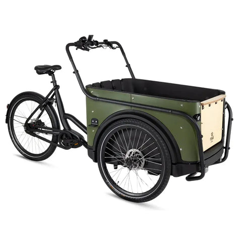 Royal Cargo Bike 3W Premium - Verde