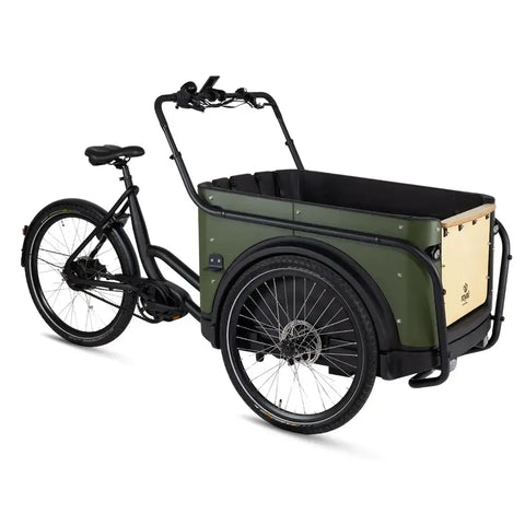 Royal Cargo Bike 3W Premium Plus - Vert