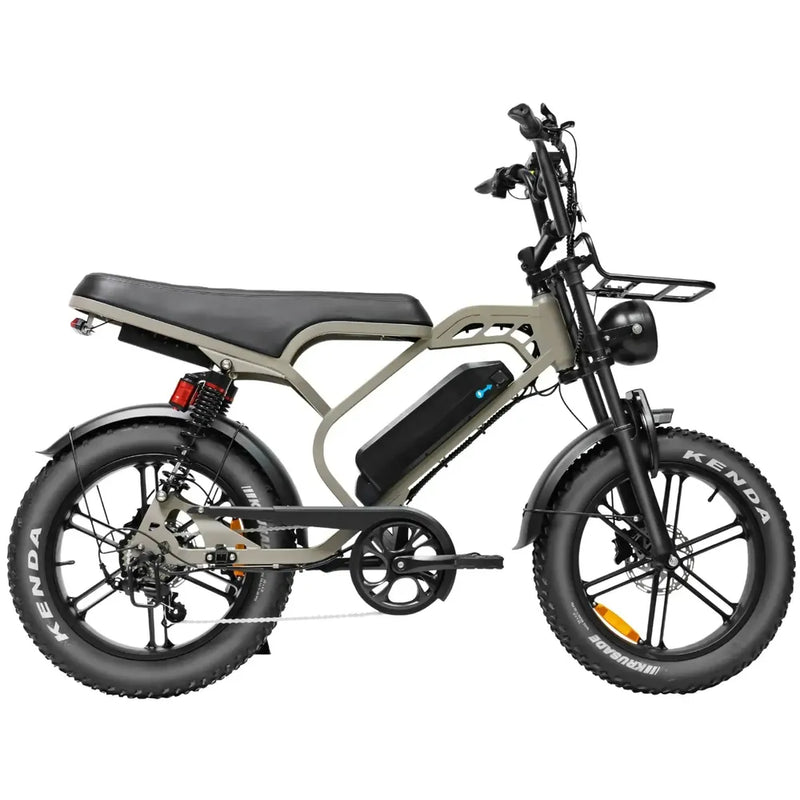 V20 Limited - Bruin